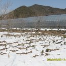 신덕농장 이미지