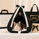 고양이 장례 키트 시장의 현재와 미래