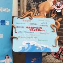본점장터순대국 티스토리