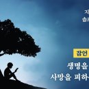 잠언 강해 31 (마지막편) - 생명을 택하고 사망을 피하는 지혜 : 정동수 목사, 사랑침례교회, 설교, 강해 (2022. 10. 21 이미지