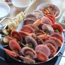 용궁가리비 이미지