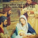 ⛪️ 천주의 성모 마리아 대축일 (서계 평화의 날) 이미지