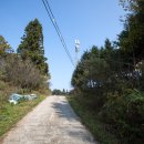 금곡영화마을 이미지