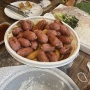 효심당 | [8월의 일상] 너무 더웠고 다사다난했던 8월