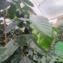 오늘도 푸른 한우농장 이미지