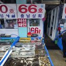 싱싱활어센타 | 추석 연휴 속초 동명항활어센터 싱싱한 활어 가성비구매후기