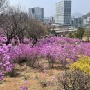 동산애견 이미지