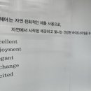 이오(Eo)헤어