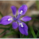 웰빙건강원 이미지