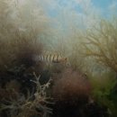 남해-296 이미지