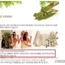 엔티에이치(nth)퀸즈헤나