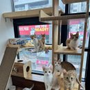 현미민박 이미지