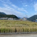 동읍206 | 거제도핫플 거제카페 ‘파인에이플러스’ 실망스러운 후기