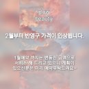 글로우뷰티샵 네이버블로그