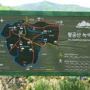 측백나무숲 주차장 이미지