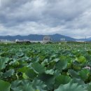 안심창조밸리 천천둘레길 이미지