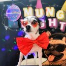 하률로12번길 이미지