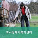 편안하고 친절한! 성북구요양원,삼선동요양원 효사랑재가복지센터 최상의 서비스 제공