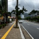 주식회사 명가참푸드 | [거제도] 지세포 맛집 초정명가, 인생 물회와 돌문어 탕수육 솔직후기 (주차, 메뉴 추천)