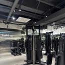 빌드업 | 논현동헬스장, 빌드업피트니스 언주역점 솔직 후기