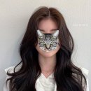 [혼주 메이크업] 청담 순수 본점 후기 - 엄마, 여동생 메이크업