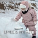 월드중앙약국 | 비발디파크 아기랑 여행 준비물 (오션월드, 스노위랜드) 및 소노벨 B동 패밀리룸 후기