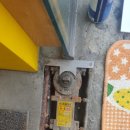 테라리움동물병원 이미지