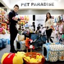 펫 파라다이스(pet paradise) 이미지