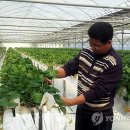 동현농장2 이미지