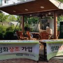 평화상조 이미지
