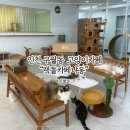 랙돌카페냐옹 | [인천 고양이카페] 아기랑 방문해도, 데이트로도 딱 좋은 구월동 ”랙돌카페냐옹“