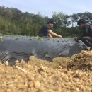 천평농장 이미지