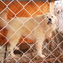 삼구농장 이미지