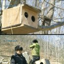 자연인한의원 시티라이프