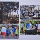 물숲(명천) 이미지