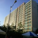 평화로03 이미지