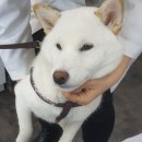 소라약국 이미지