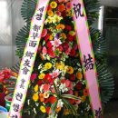예쁘지오 이미지