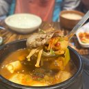 매일맛집 이미지