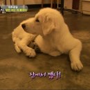 종일농장 이미지