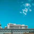 홈즈펫타운 이미지