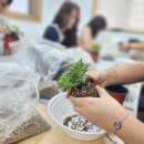 친환경 화분 만들기 이미지