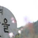 하주발효마을 이미지