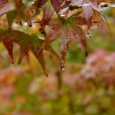 대구지방법원 포항지원 이미지