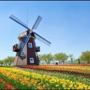 들마루펜션 이미지