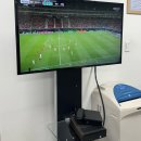 6월 둘째주 보리쀼 일상, 남편이 사준 맘스터치 무한도전 굿즈 후기