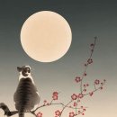풀문(FullMoon) 이미지