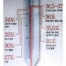 36.5체온다이어트 이미지