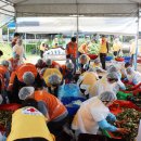 상큼한 여름김치 이미지