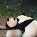 꽁냥꽁냥 이미지